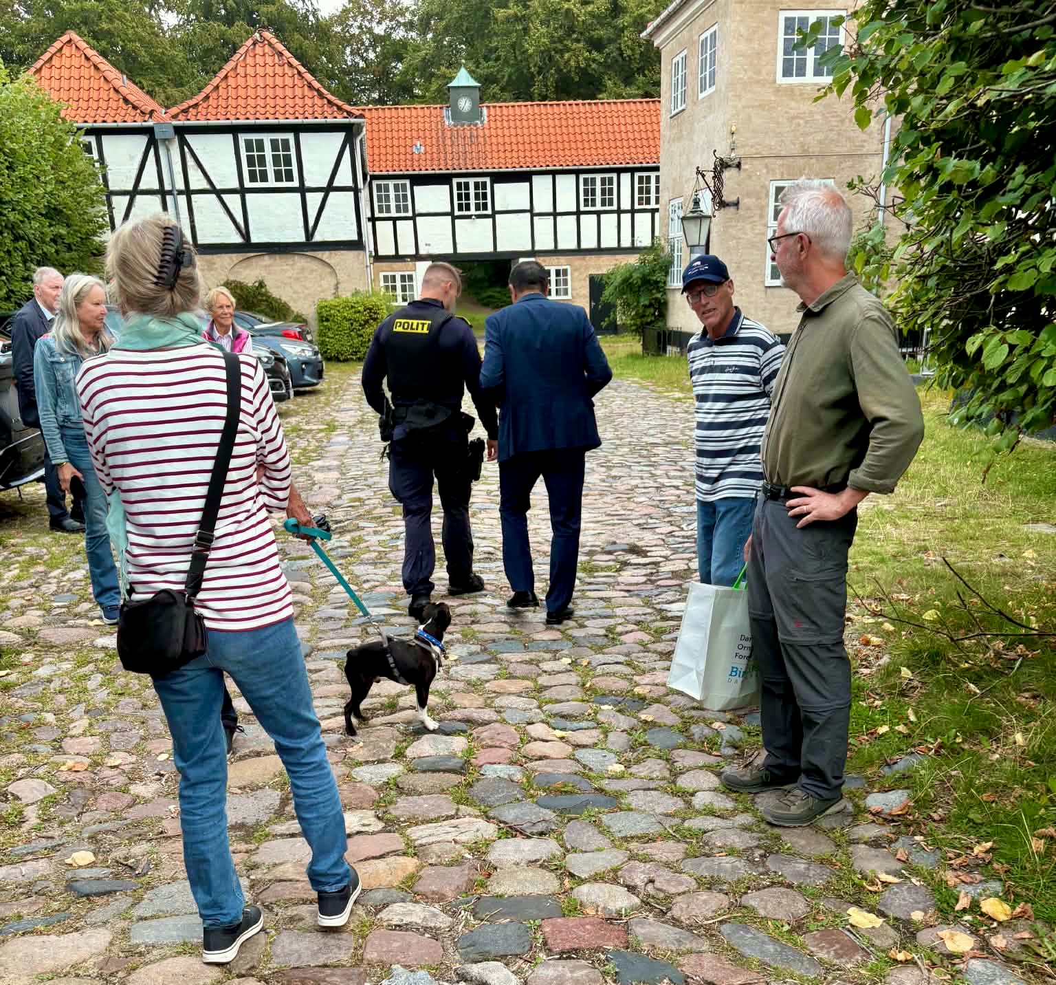 Falsk anmeldelse om demonstration