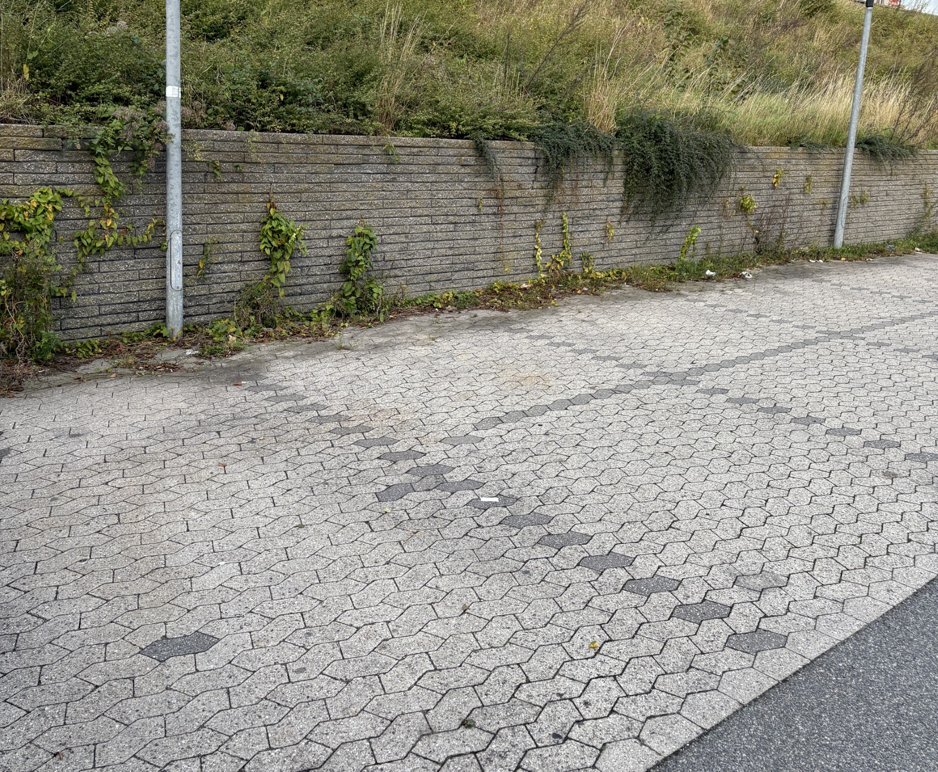 Lokalplan 106 går imod nedlæggelse af parkeringspladser