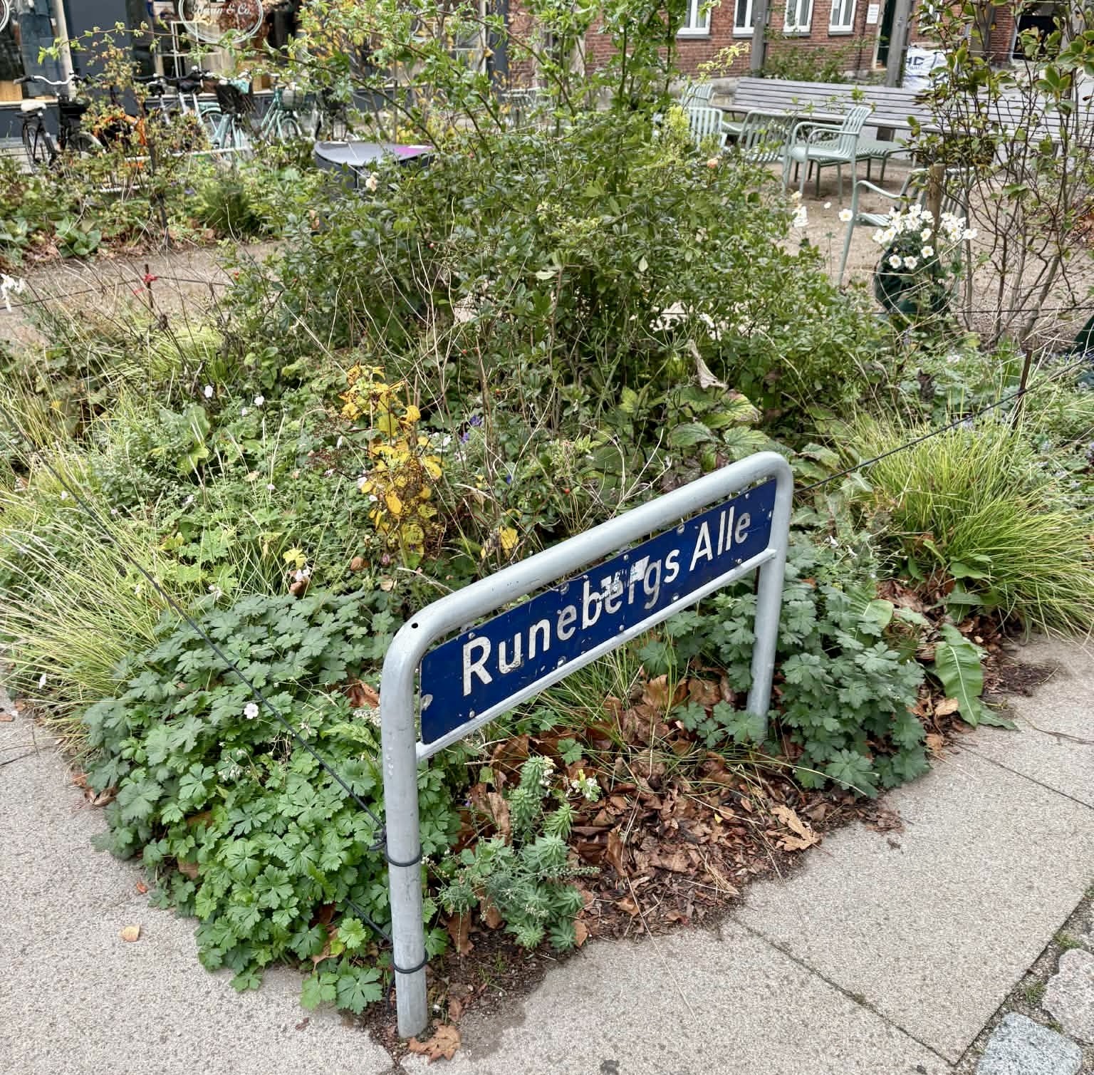 Runebergs Alle bør gøres ensrettet og åbnes ud mod Hovedgaden